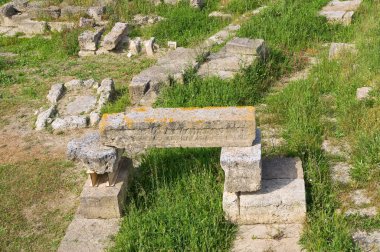 arkeolojik park. Metaponto. Basilicata. İtalya.