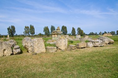 arkeolojik park. Metaponto. Basilicata. İtalya.