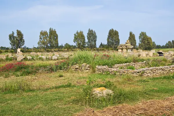 Archäologischer Park. Metapher. Basilikata. Italien. — Stockfoto