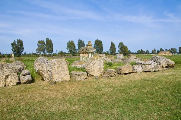 Arkeolojik park. Metaponto. Basilicata. İtalya. — Stok fotoğraf