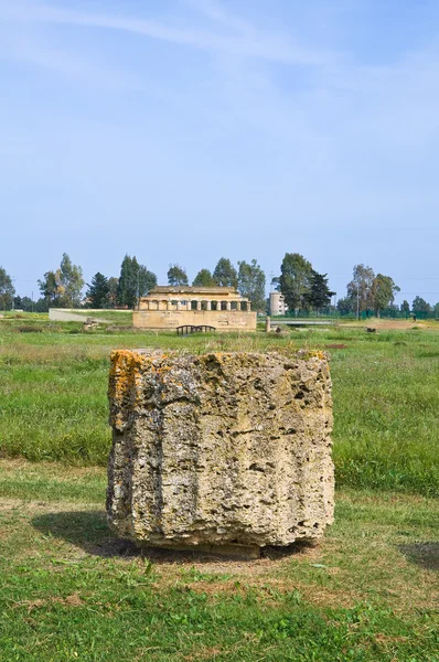 Park archeologiczny. Metaponto. Basilicata. Włochy. — Zdjęcie stockowe