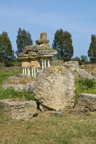 Parque Arqueológico. Metaponto. Basilicata. Italia . —  Fotos de Stock