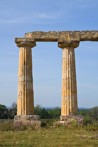 Tavole Palatynatu. Metaponto. Basilicata. Włochy. — Zdjęcie stockowe