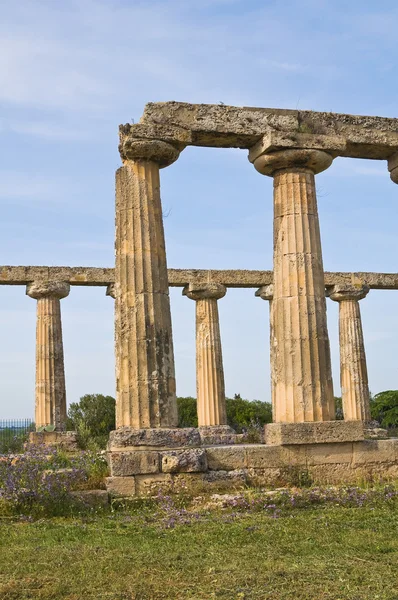 Tavole Palatinen. Metaponto. Basilicata. Italien. — Stockfoto