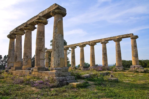 Tavole Palatynatu. Metaponto. Basilicata. Włochy. — Zdjęcie stockowe