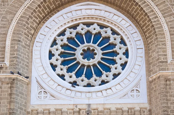 Catedral Duomo de Cerignola. Puglia. Italia . —  Fotos de Stock