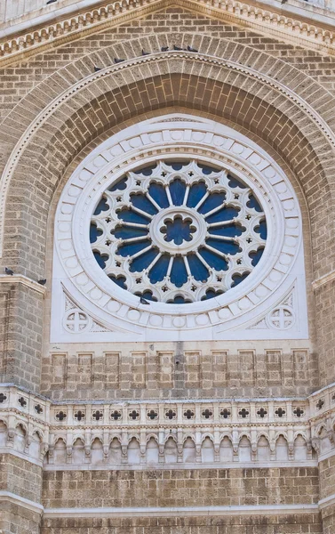 Duomo di Cerignola. Puglia. Italia . — Foto Stock