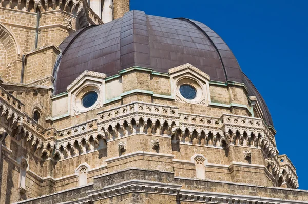 cerignola, Duomo Katedrali. Puglia. İtalya.