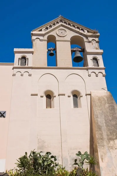 Aziz francesco Kilisesi. Manfredonia. Puglia. İtalya. — Stok fotoğraf