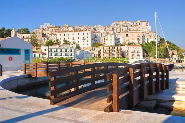 Panoramautsikt över rodi garganico. Puglia. Italien. — Stockfoto