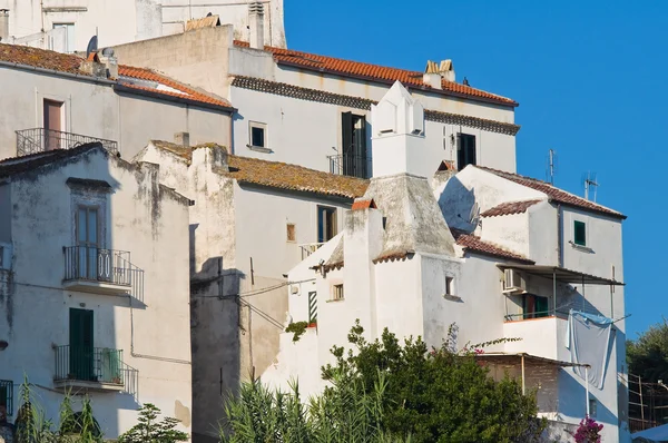 Panoramautsikt över rodi garganico. Puglia. Italien. — Stockfoto