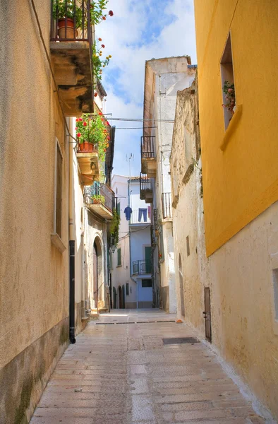 Steegje. Ischitella. Puglia. Italië. — Stockfoto