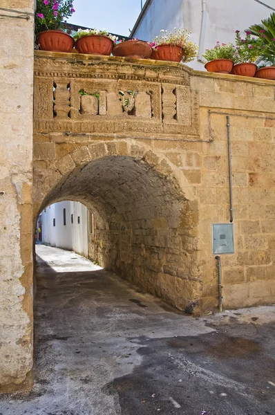 Armieri palace. Maruggio. Puglia. Italien. — Stockfoto