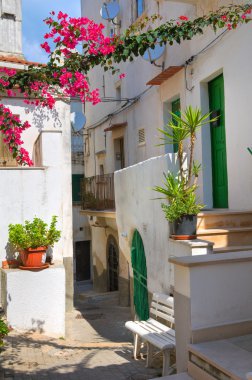alleyway. Rodi garganico. Puglia. İtalya.
