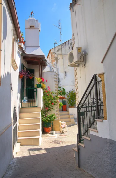 Uličky. Rodi garganico. Puglia. Itálie. — Stock fotografie