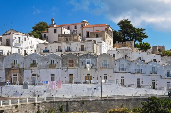 Vista panoramica sul Monte Sant'Angelo. Puglia. Italia . — Foto Stock