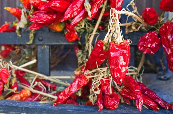 Csípős chili paprika. — Stock Fotó