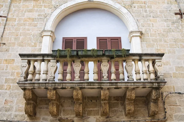 Historiskt palats. Mesagne. Puglia. Italien男性の精巣解剖前方ビュー. — Stockfoto