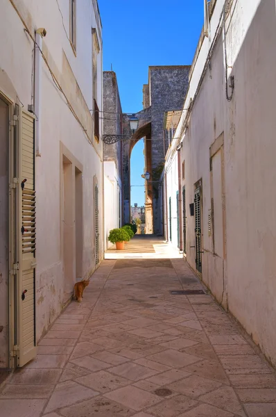 Para o beco. Palmariggi. Puglia. Itália . — Fotografia de Stock