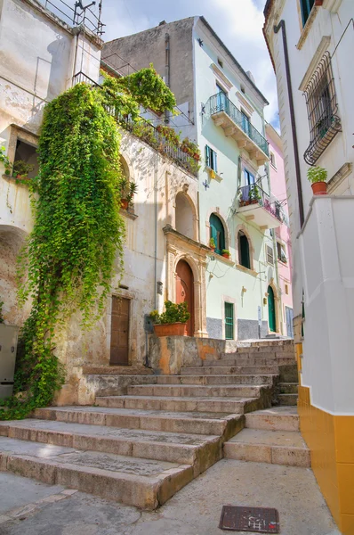 Steegje. Rodi garganico. Puglia. Italië. — Stockfoto