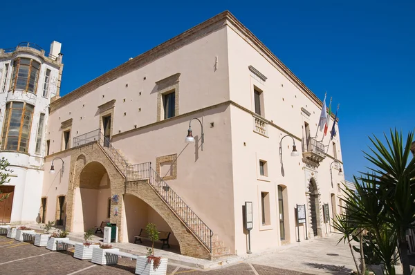 Palazzo del Municipio. Pisticci. Basilicata. Italia . — Foto Stock
