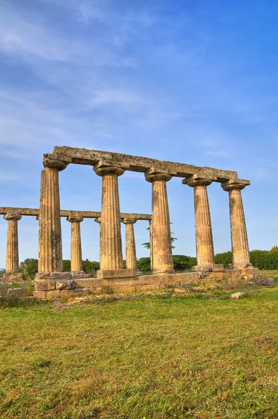 Tavole Palatine. Metaponto. Basilicata. Italia . — kuvapankkivalokuva