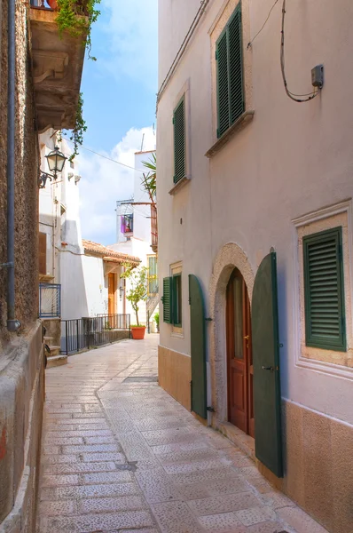 小巷。ischitella。普利亚大区。意大利. — 图库照片