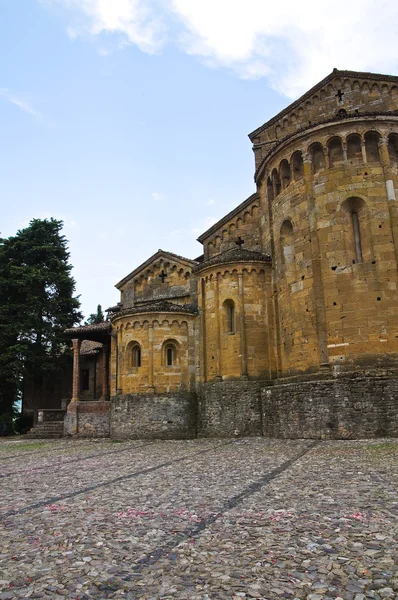 Collegiate Church of Castell'Arquato. Emilia-Romagna. Italia . — Fotografie, imagine de stoc