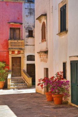 alleyway. Specchia. Puglia. İtalya.