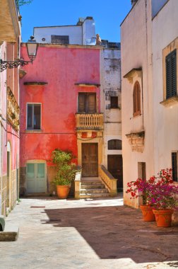 alleyway. Specchia. Puglia. İtalya.