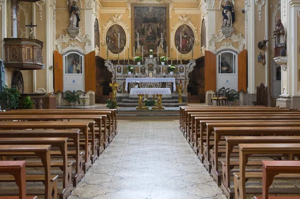 Kościół św domenico. Tricase. Puglia. Włochy. — Zdjęcie stockowe