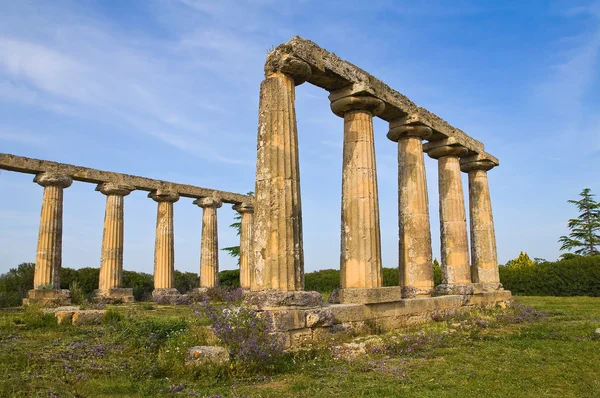 Tavole palatine. Metaponto. Basilicata. İtalya. — Stok fotoğraf