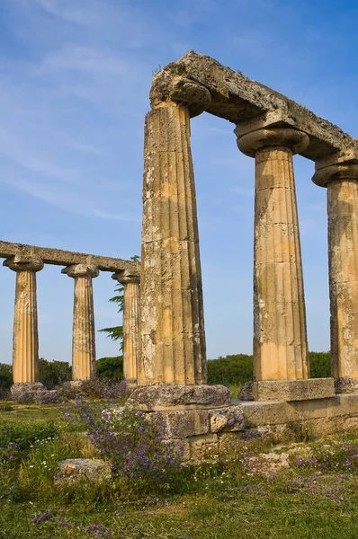 Tavole van de Palts. Metaponto. Basilicata. Italië. — Stockfoto