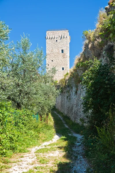 Rocca minore. Assisi. Umbria. İtalya. — Stok fotoğraf