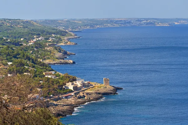 Panoramatický pohled na tiggiano. Puglia. Itálie. — Stock fotografie