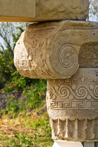 Archeologický park. Metaponto. Basilicata. Itálie. — Stock fotografie