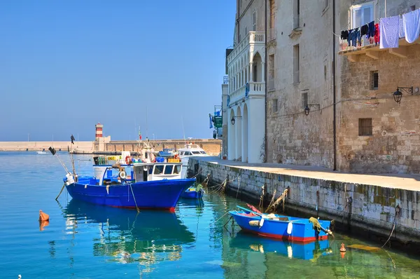 Oude haven. Monopoli. Een Puglia. Italië. — Stockfoto