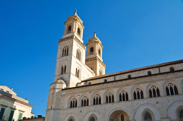 Altamura, Duomo Katedrali. Puglia. İtalya. — Stok fotoğraf