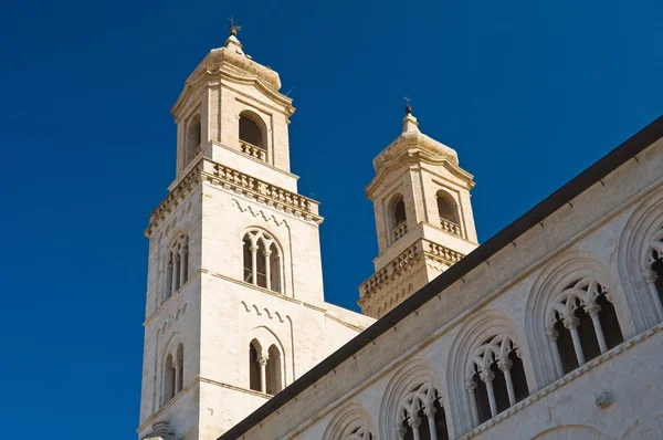 Duomo 大教堂的 altamura。普利亚大区。意大利. — 图库照片