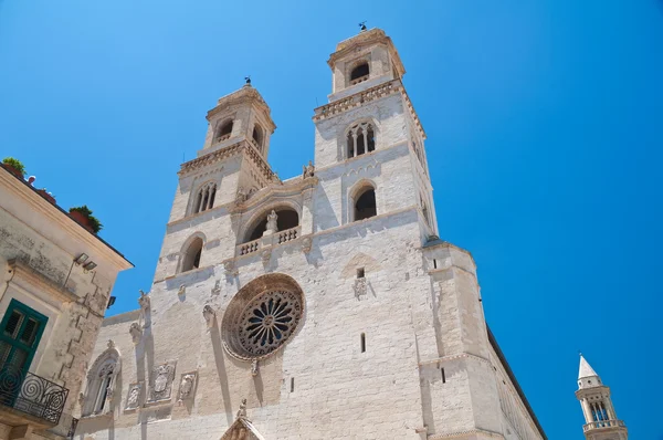 Katedrála Duomo Altamura. Puglia. Itálie. — Stock fotografie