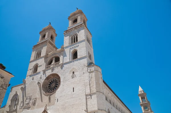 Katedry miejskiej Altamura. Puglia. Włochy. — Zdjęcie stockowe