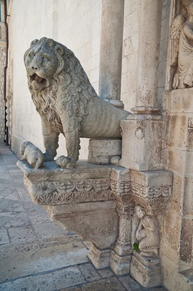 Altamura, Duomo Katedrali. Puglia. İtalya. — Stok fotoğraf