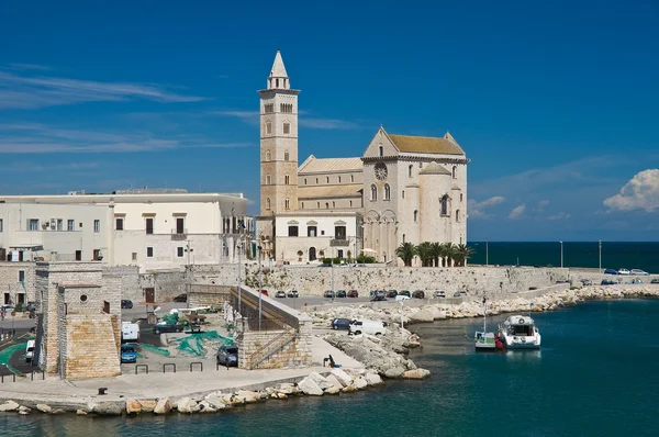 Trani panoramik manzaralı. Puglia. İtalya. — Stok fotoğraf