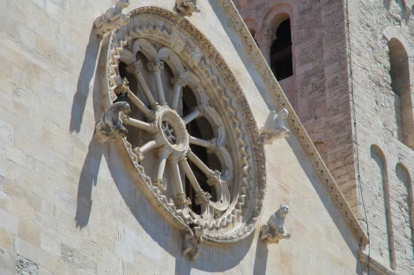 Katedralen i giovinazzo. Puglia. Italien. — Stockfoto