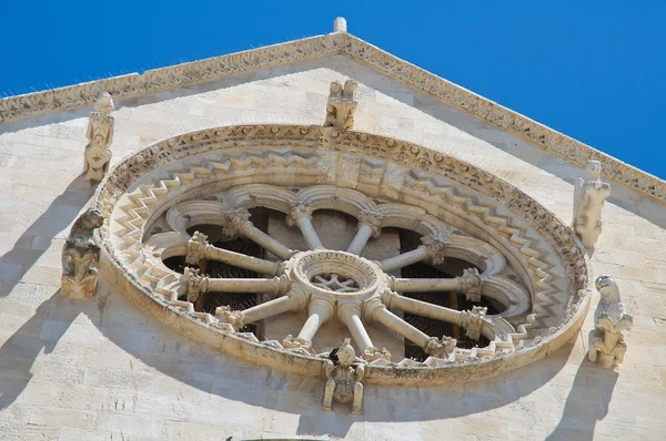 Katedralen i giovinazzo. Puglia. Italien. — Stockfoto