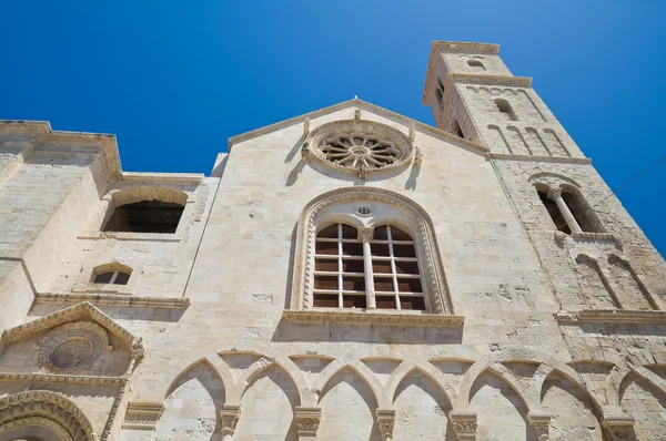 Katedralen i giovinazzo. Puglia. Italien. — Stockfoto