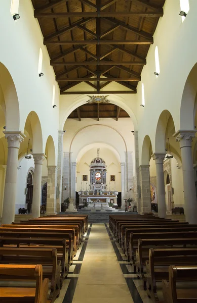Katedrála pohledná. Minervino murge. Puglia. Itálie. — Stock fotografie
