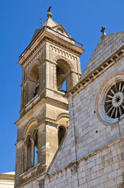 Katedra assunta. Minervino murge. Puglia. Włochy. — Zdjęcie stockowe