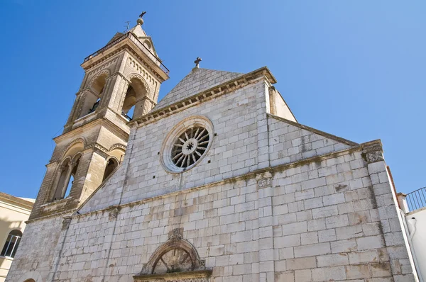 Katedral assunta. Minervino murge. Puglia. İtalya. — Stok fotoğraf