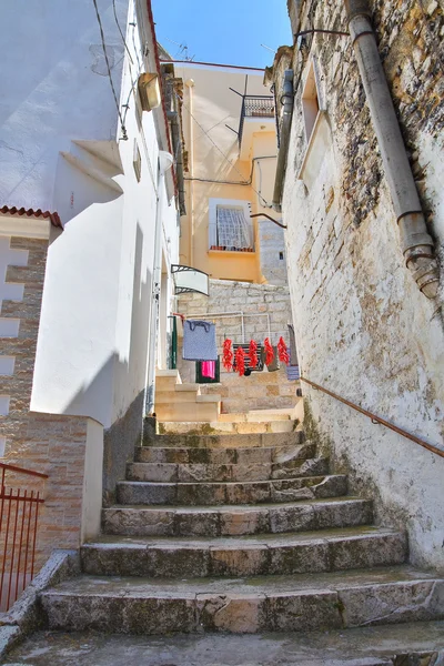 Une ruelle. Minervino Murge. Pouilles. Italie . — Photo